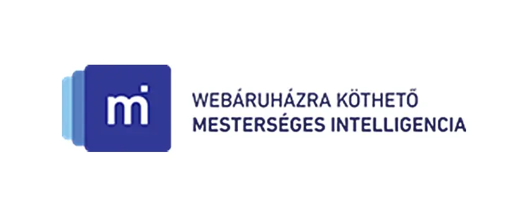Webáruházra köthető MI
